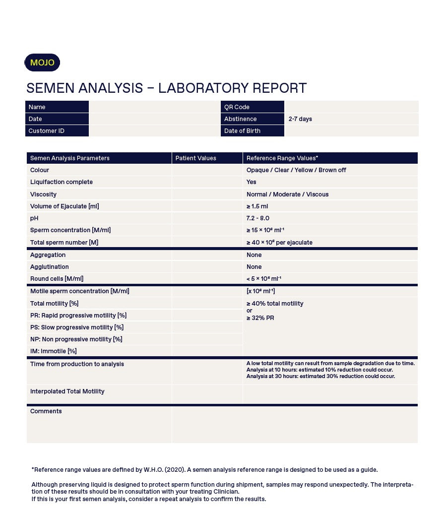 Mojo Analysis Report